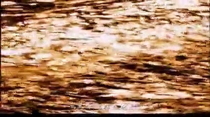 Peng Liyuan, la Carla Bruni chinoise