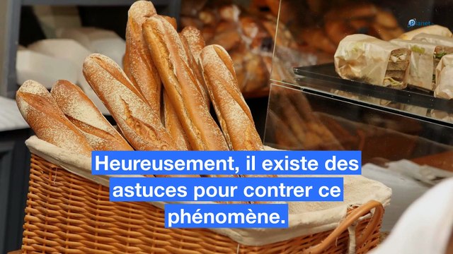 Pain frais : comment le garder croustillant quand il pleut ?