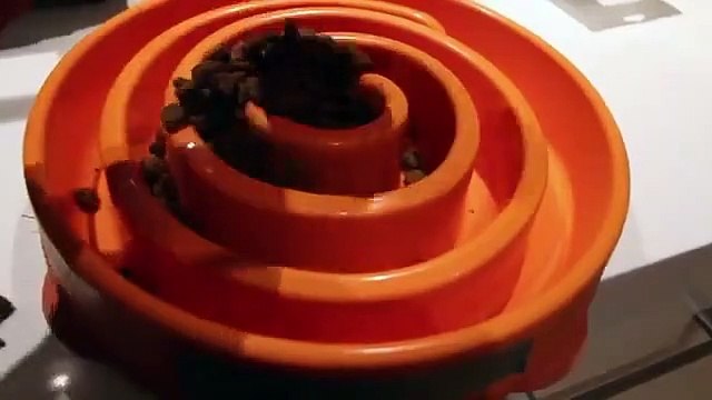 Il filme ses chiots courir vers leur gamelle pendant 9 mois