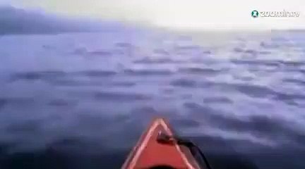 Une magnifique nuée d'oiseaux...