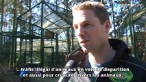 Du zoo au refuge, histoire de la bêtise humaine...