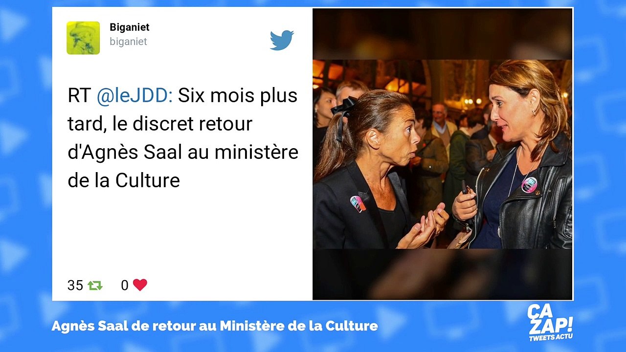 Les internautes indignés du retour d'Agnès Saal au ministère de la Culture