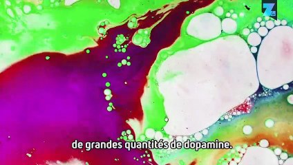 Le cerveau sous l'influence des drogues - Épisode 3 : le speed