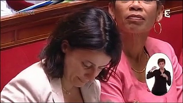 Les larmes de Cécile Duflot à l'Assemblée nationale