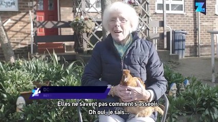 Au Royaume-Uni, les poules servent de thérapeutes