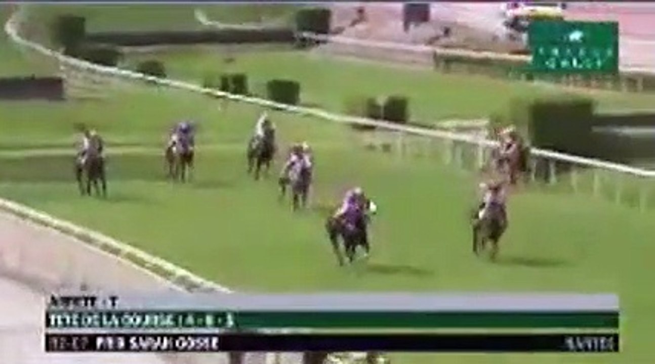 Hippodrome Nantes Un cheval fou fonce sur les spectateurs! 1