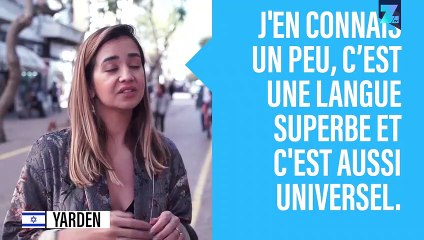 Quelle langue maternelle choisiriez-vous ?