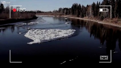 Le monstre du Loch Ness a-t-il déménagé en Alaska ? Quelle est cette étrange forme qui bouge sous l'eau ?