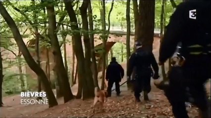Dans les coulisses de l'entraînement des chiens du RAID