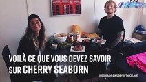 Qui est la petite amie de Ed Sheeran ?