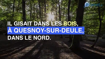 Angélique : les liens étranges qu'elle avait avec l'homme qui a avoué son meurtre