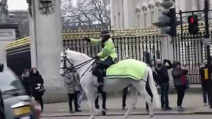 Un homme nu s'évade par une fenêtre du palais de Buckingham