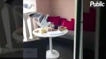 Vidéo : Gad Elmaleh, Carrot Top : leur vidéo délire !