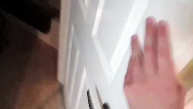 Ce chat est capable d'ouvrir des portes mêmes piégées !