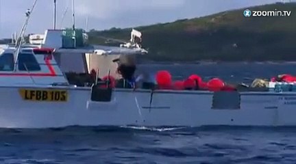 Australie : la chasse aux requins est ouverte