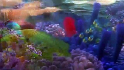 Le monde de Némo 3D