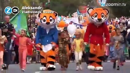 Vladimir Poutine, grand sauveteur des tigres sauvages