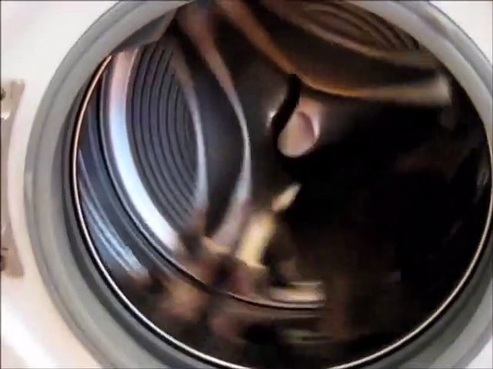 Un chat qui court dans une machine à laver