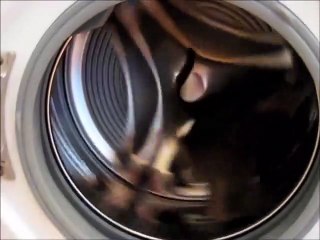 Un chat qui court dans une machine à laver