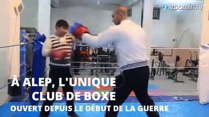 En Syrie, un club de boxe forme les champions de demain