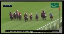 Deauville : un cheval meurt après une lourde chute en pleine course