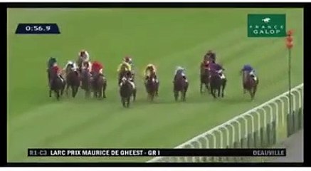 Deauville : un cheval meurt après une lourde chute en pleine course