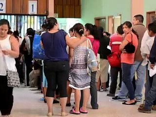 Le virus Zika se propage de "manière explosive", réunion d'urgence le 1er février