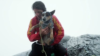 Le premier chien du monde à sauter en base jump