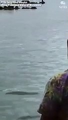 Un avion rate son atterrissage et s'échoue dans le Pacifique