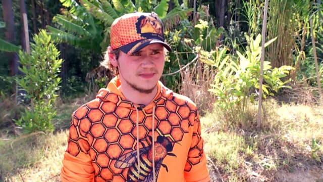 Beekeepers pushing back on varroa mite eradication with some launching 140-million-dollars class action