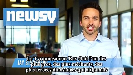 La famille des tyrannosaures s’agrandit avec le Pinocchio rex