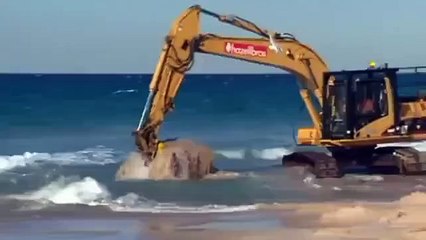 L'incroyable sauvetage d'une baleine échouée en Australie