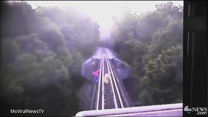 Elles survivent au passage du train en s'allongeant sur les voies !