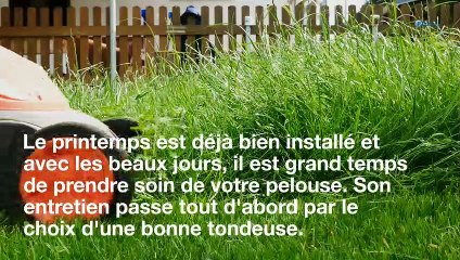 Comment bien choisir sa tondeuse à gazon ?