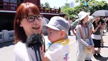 Faire pleurer des 'bébés sumo', une tradition au Japon