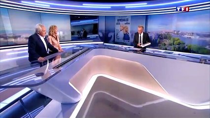 Pour Michel Sardou, Gilles Bouleau ressemble à un "haricot vert"