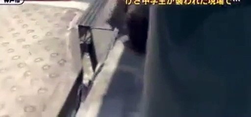 Un sanglier attaque un cameraman !