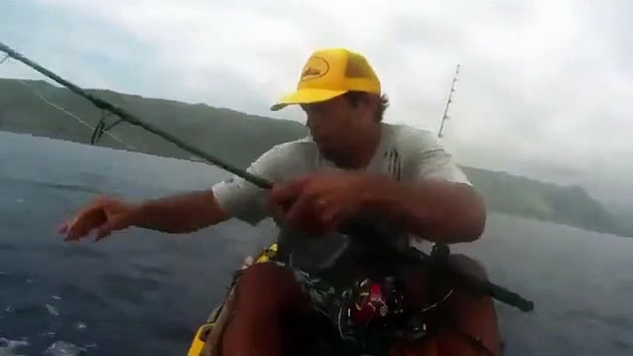 Le pêcheur et le requin