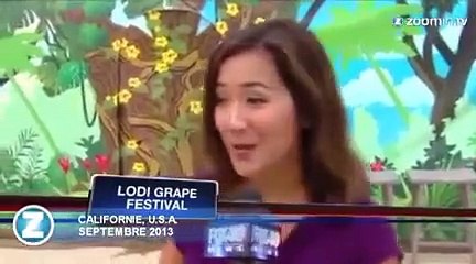 Les bourdes les plus drôles à la TV en 2013