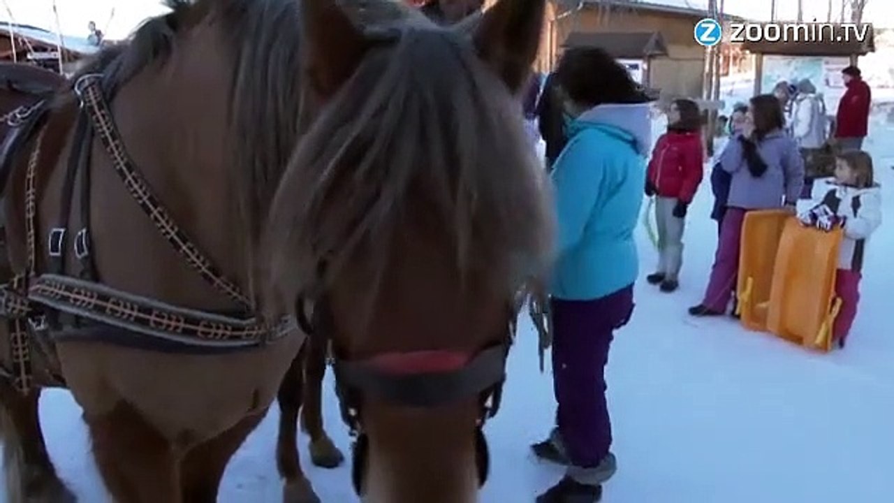 Un cheval et des skis : testez le Ski Joëring !