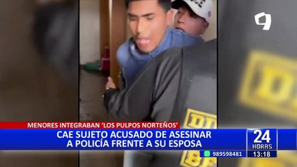 Capturan a alias "Palta": Delincuente integraba banda dedicada a asaltar a empresarios