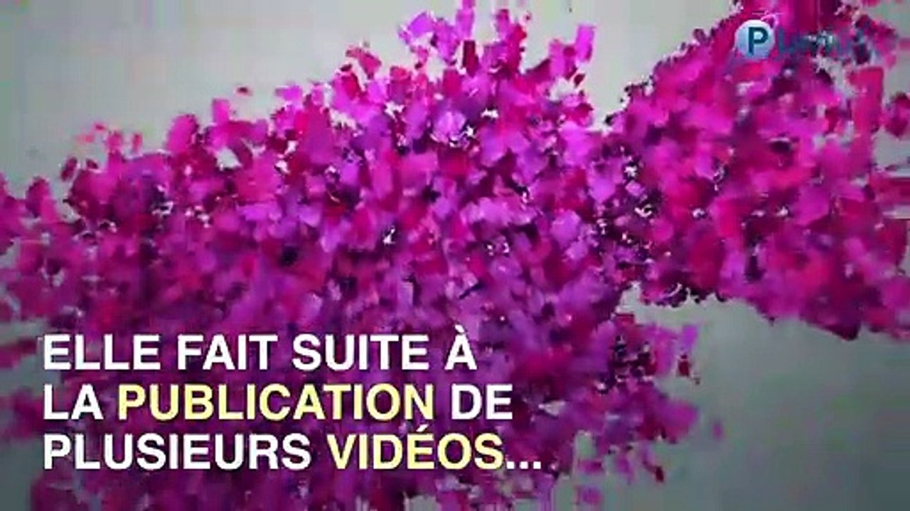 Benjamin Griveaux abandonne