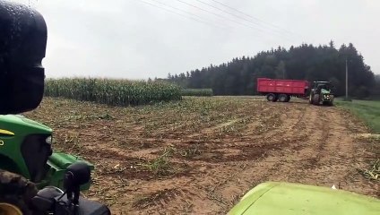 Vous ne devinerez jamais ce qui se cache dans ce champ de maïs !