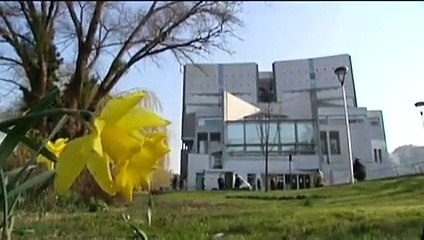 Les moutons-tondeuses débarquent à Paris