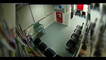 Australie : un koala se promène dans un hôpital en pleine nuit