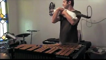 Pas facile de jouer du vibraphone quand le chat est dans le coin