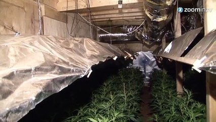 Les coffee shops ont trouvé un nouveau QG