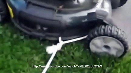 Une tondeuse à gazon autonome