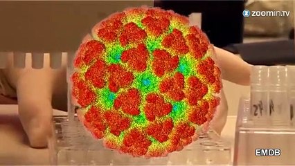 Chikungunya, ce virus qui a infecté 80.000 colombiens!