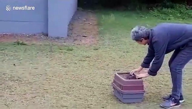 Adorable : un bébé singe retrouve sa mère après trois semaines d'hospitalisation !